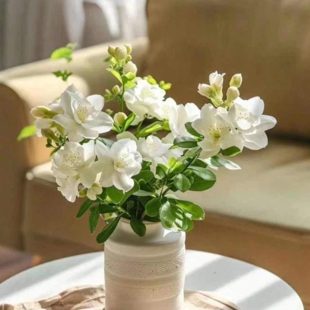Night Blooming Jasmine Seeds – Lady of the Night Fragrant Garden Plant